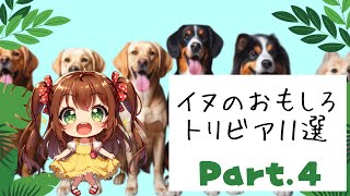 イヌのおもしろトリビア11選Part 4