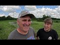 loading skittish steers while the herd wails