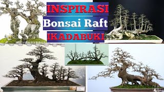 INSPIRASI Bonsai Raft