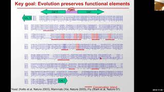 MIT CompBio Lecture 17 - Comparative Genomics (Fall 2019)
