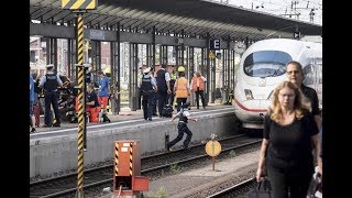 Liveleak 8-Year-Old Boy Child killed after being pushed in front of train in Germany