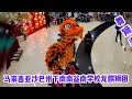 2022虎年 sabah malaysia sjk c yick nam lion u0026 dragon dance troupe 益南学校龙麒狮团 1borneohypermall