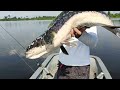 2023 shimano slx dc giant snakehead fishing