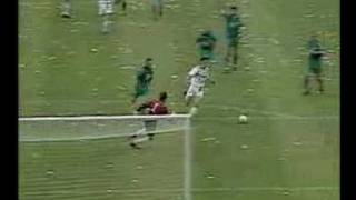 M'gladbach - Wolfsburg | DFB-Pokal Finale |  :1994/95: