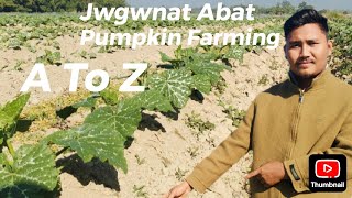 How To Grow Pumpkin A To Z Jwgwnat Abat kou Ma Bwrwi Mouw Kaddu K Ka  Kheti Easy Farming