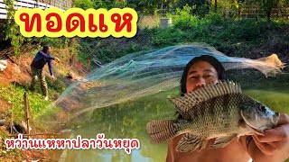 ทอดแห บ่อFcวังเวงรีสอร์ท ►Fishing lifestyle Ep.787