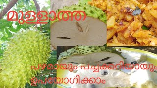 മുള്ളാത്ത.mullatha thoran.soursop recipe.