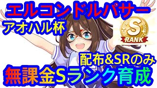 【ウマ娘】エルコンドルパサー　アオハル杯　無課金Sランク育成【配布＆SRのみ】