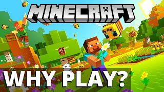 Why Play Minecraft?