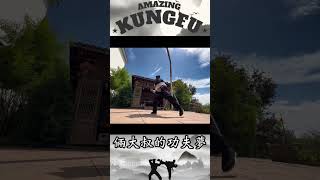 Traditional Chinese Kung Fu #amazingkungfu