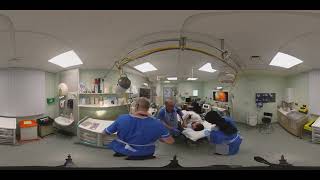 Upper GI Bleed in Endoscopy VR360 - Full