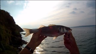 Shore Fishing - Surface Plug Fishing for Sea Bass - Walk the Dog