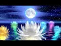 hypnosis for supernatural beauty u0026 charm 🪷 tested working meditation subliminal 417 hz