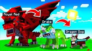 I tamed DRAGON DOGS in MINECRAFT!