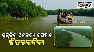 Bhitarkanika National Park -The Luxuriant Greenery And Rich Ecosystem Attracts Tourists | Sambad