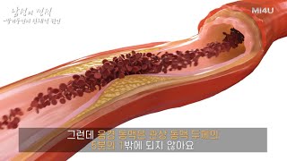 [발기부전의 신체적 원인] 발기부전의 원인을 이해하면 불필요한 검사를 줄일 수 있습니다_발기부전 참고서 '남성의 정석' (비뇨기과 전문의 박성훈)