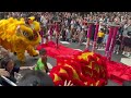 cny 2025 acrobatic double lion dance 🦁 khuan loke 群樂 @ starling mall