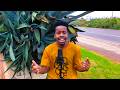 MZEX-MAN NO STRESS_Ningam'sheli Owami (Official Music Video)