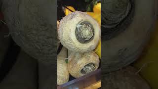 Amazing Parsnip look like carrot🤔#satisfying #shortsvideo #trending #viral