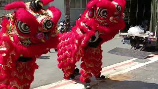 廖老大茶坊發士林社正店開幕-龍義會館