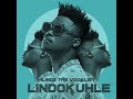 Mlindo The Vocalist   Impil Imile  Official Audio  ft  Nue Sam