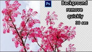 How to remove Random Tree background quickly 30 second in photoshop cs6 |Advance background remove