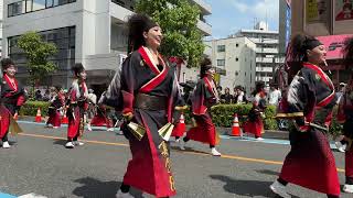 夏舞徒（2024浦和よさこい・東口会場 B会場）