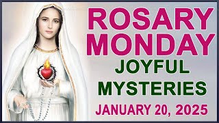 The Rosary Today I Monday I January 20 2025 I The Holy Rosary I Joyful Mysteries