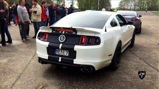 LOUD 2013 Ford Mustang Shelby GT500 REVS, Drag Races \u0026 Accelerations! Exhaust Sounds!