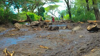 MAAFA,MLIMA MWINGINE WAPOROMOKA MANYARA KAYA ZA ATHIRIWA