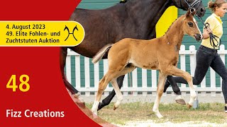 49th Verden Elite Foal -OnLive-Auction- Aug. 4th, No. 48 Fizz Creations by Fanegro - Dancier