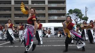 鈴鹿フェスティバル2017 サンズ会場 京都文教大学 風竜舞伝