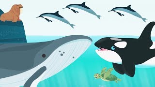 Kids Learn About Ocean Animals Name And Sound - Baby Play Fun Explore Ocean Animal Concepts