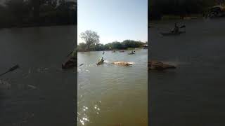 Lake Tana / ጥምቀት በባህርዳር/