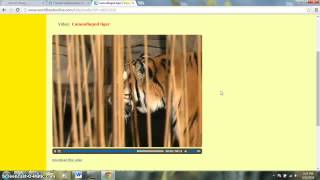 World Book student tutorial