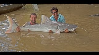 Piraiba catfishing in Suriname Part 1