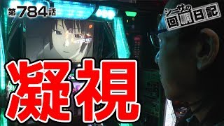 【ヴァルハラを見つめる】シーサ。の回胴日記_第７８４話 [by ARROWS-SCREEN] 【パチスロ】【化物語他】