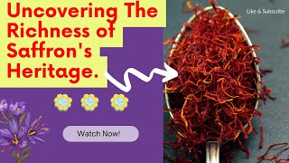 History of Saffron | Uncovering The Richness of Saffron's Heritage