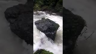 jogi gundi falls (ಜೋಗಿ ಗುಂಡಿ ಫಾಲ್ಸ್ )Agumbe.... ಆಗುಂಬೆ