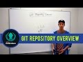 Git Tutorial: What is a Git Repository?