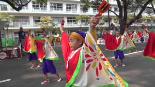 上町よさこい鳴子連　2013年･第15回よさこい全国大会（追手筋）