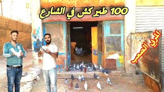 100 طير كش من امام منجره الكشيش المعجزه اخونا يزن