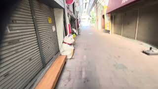 深川神社境内をお散歩(愛知県瀬戸市)