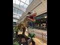 CERATOSAURUS #asmr #likeandshare #satisfying #trending #viral #animalkingdom #learning