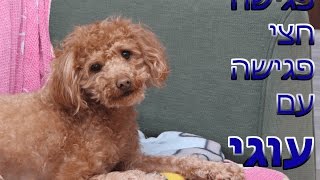 פגישה, חצי פגישה - איך מתמודדים עם זכרונות מאהוב לשעבר?