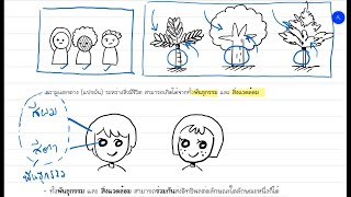 ลักษณะทางพันธุกรรม การแปรผันทางพันธุกรรม: พันธุกรรม Ep 1 (วิทย์ ครูทอป)