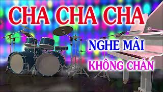 Hòa Tấu ChaChaCha bank Mới Nhất Hiện nay || Nghe Mãi Không Chán