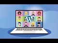 WordPress Web Help  Nov 2024 Meetup, Nov. 11, 2024