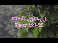 ဆာလံ၊ ၂၅း၁ ၂၂ psalm 25 1 22 📖daily holy bible reading နေ့စဉ်သန့်ရှင်းသောနှုတ်ကပတ်တော်ဖတ်ကြားခြင်း