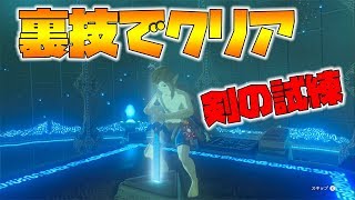 【ゼルダの伝説】裏技で剣の試練を簡単にクリアする！クリアできない人必見です。【naotin】